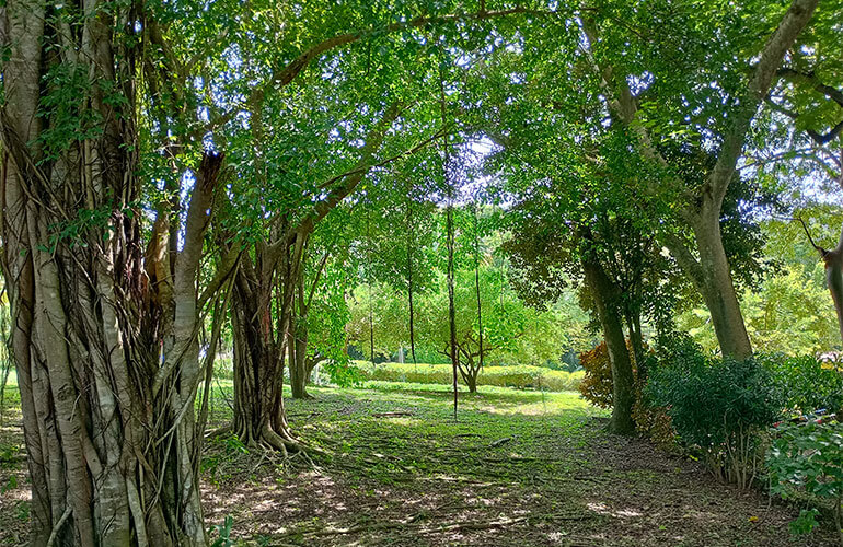 Casa-de-Espiritualidad-Villa-Claver-paisaje