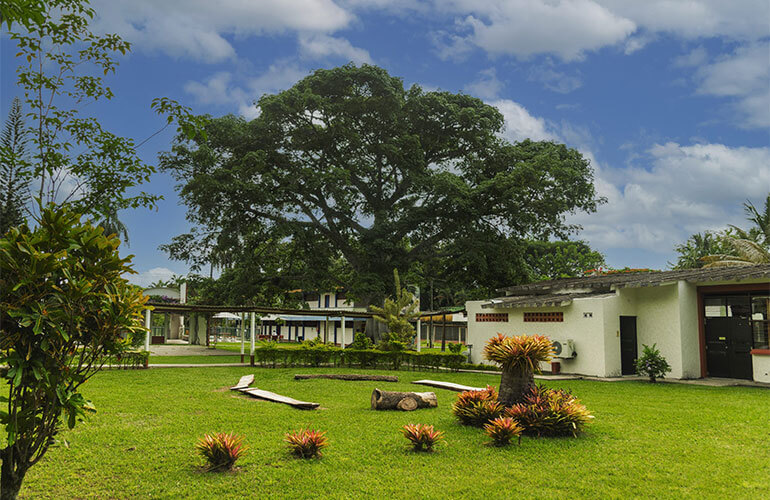 Imca-Hotel-zona-verde